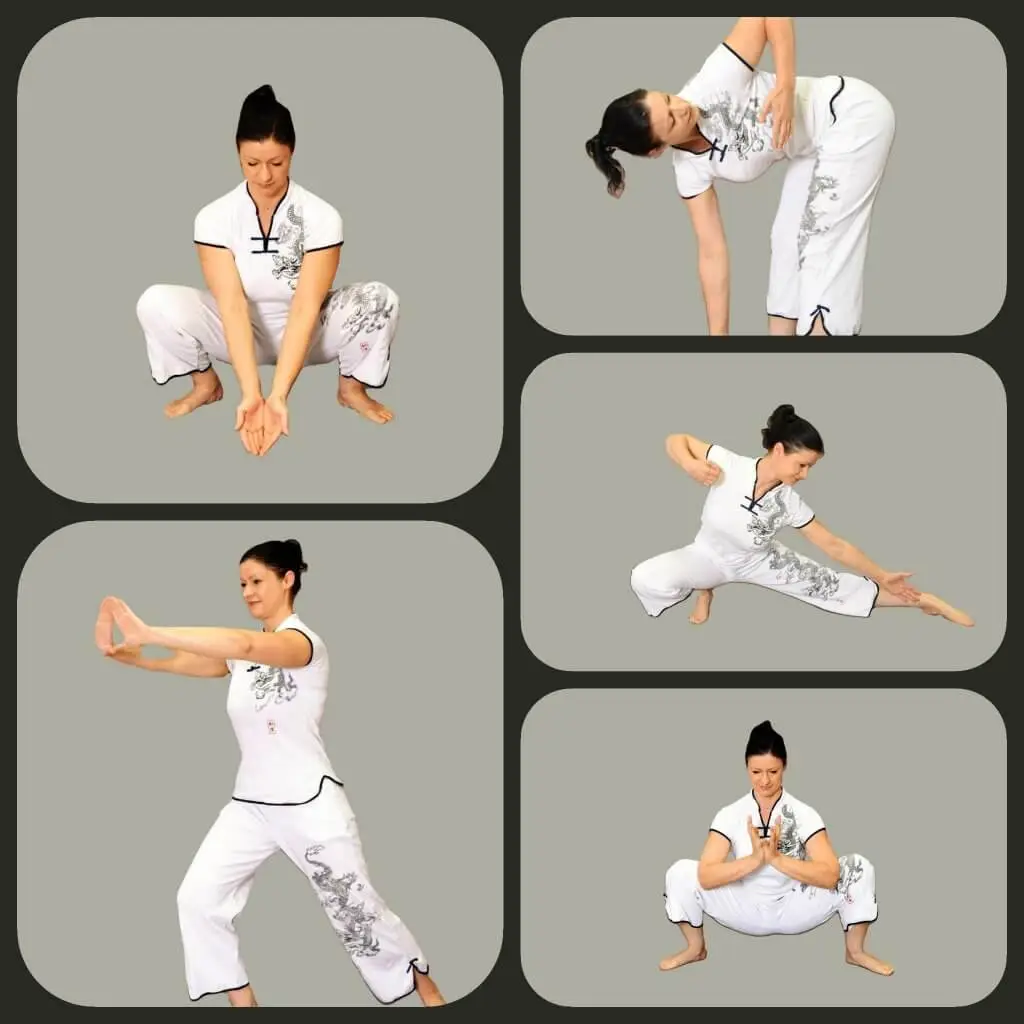 Qi Gong Figuren Physiotherapie Krause